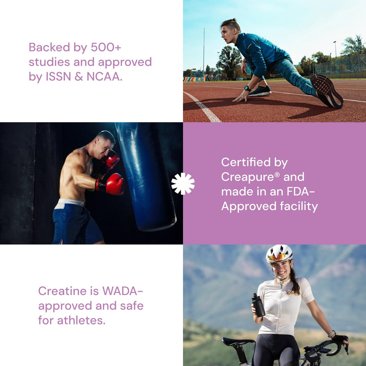 Create Single-Serve Creatine Monohydrate Powder – 5g Creapure Creatine, Sugar-Free, Vegan | Mixed Berry | 30 Portable Packets BritishVita | Premium UK Vitamins & Wellness Supplements