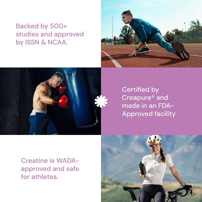 Create Single-Serve Creatine Monohydrate Powder – 5g Creapure Creatine, Sugar-Free, Vegan | Mixed Berry | 30 Portable Packets BritishVita | Premium UK Vitamins & Wellness Supplements