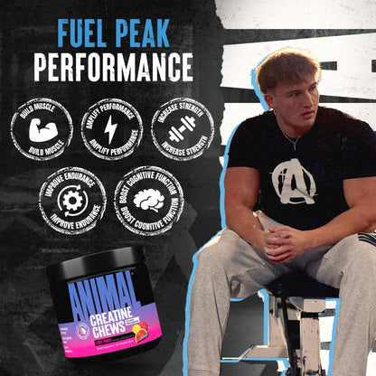 Animal Creatine Chews – 5g Creatine Monohydrate, AstraGin, Fruit Punch