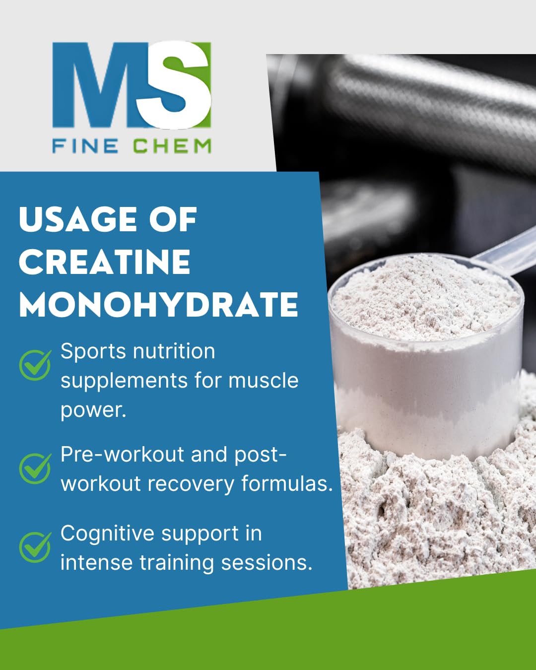 Instant Creatine Monohydrate Powder 500g – 5000mg/Serving, Micronized, Unflavored, Keto & Vegan