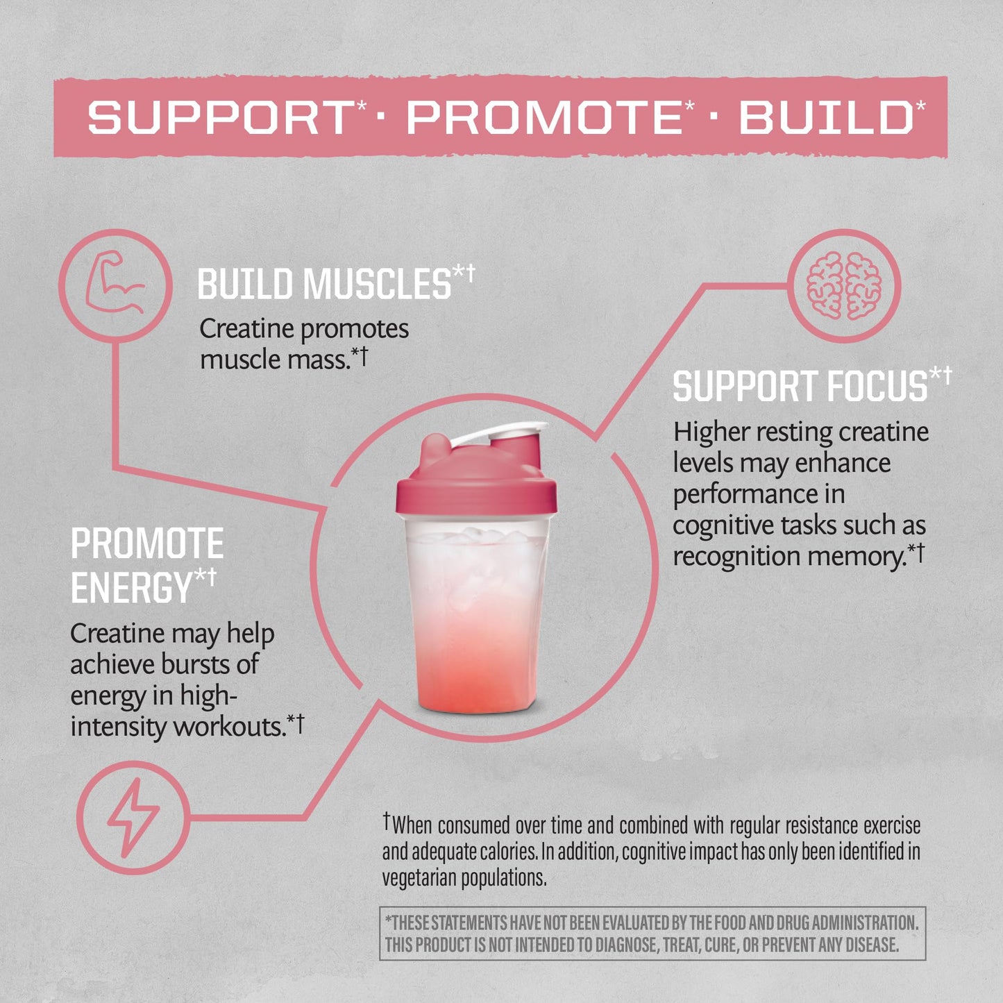 Creatine Monohydrate Powder Raspberry – 50 Servings | Vegan & Keto