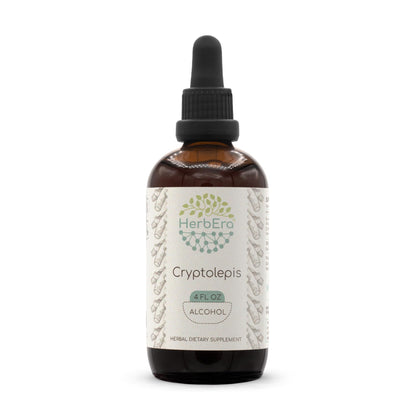 Cryptolepis Alcohol Herbal Extract Tincture 4 Oz – Super-Concentrated Wildcrafted Cryptolepis Sanguinolenta
