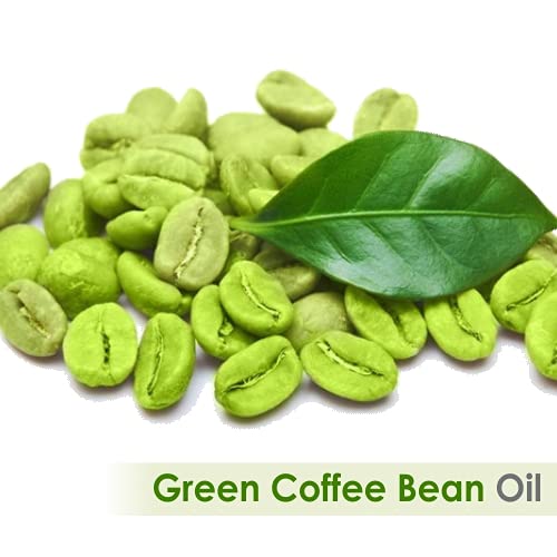 Crysalis Green Coffee Bean Oil (Coffea Arabica) – Pure Carrier Oil, 0.51 fl oz (15 ml)
