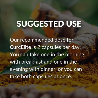Mara Labs CurcElite Curcumin | 95% Curcuminoids | 30 Vegan Capsules