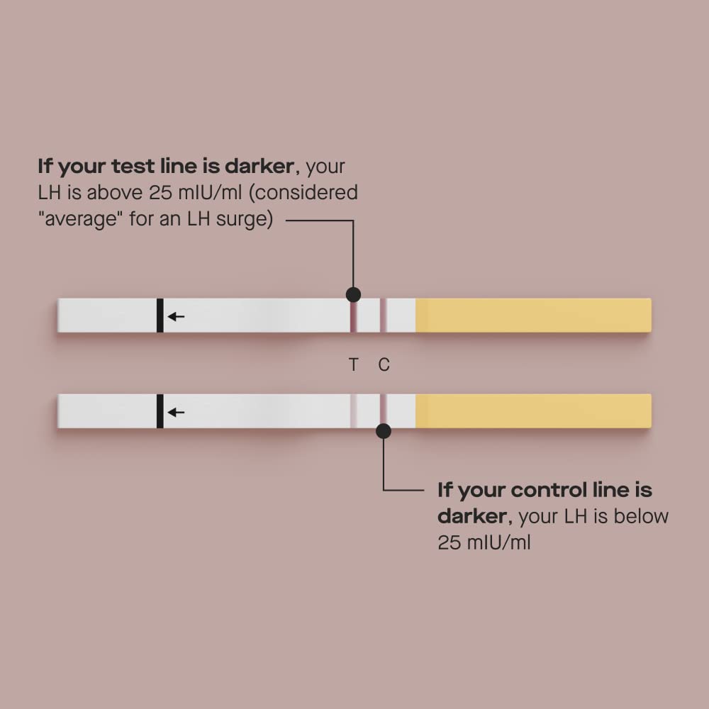 Modern Fertility Ovulation Test - At-Home LH Kit (40 Strips)