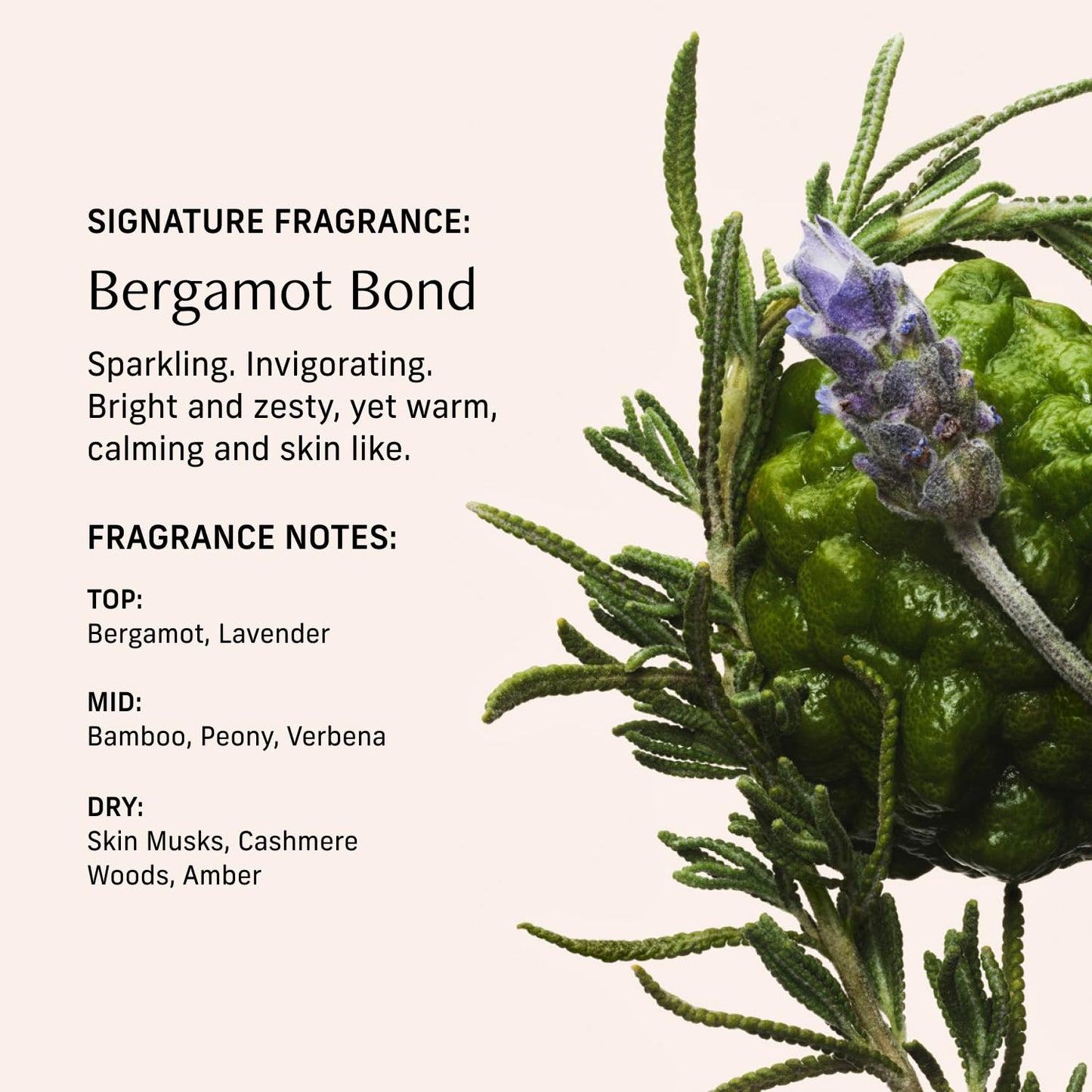 CYKLAR Perfume Oil Roll-On – Bergamot Bond, 0.5 oz Travel-Size