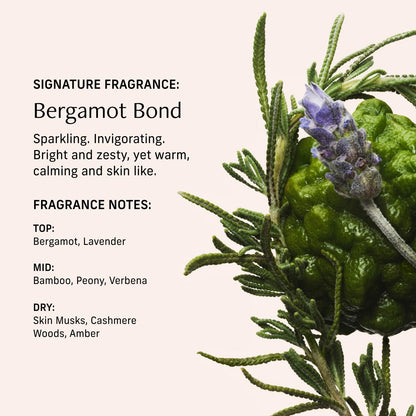 CYKLAR Perfume Oil Roll-On – Bergamot Bond, 0.5 oz Travel-Size