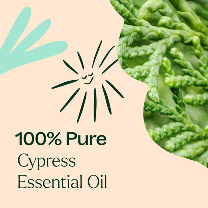 Plant Therapy Cypress Essential Oil – 100% Pure, Undiluted, 10 mL