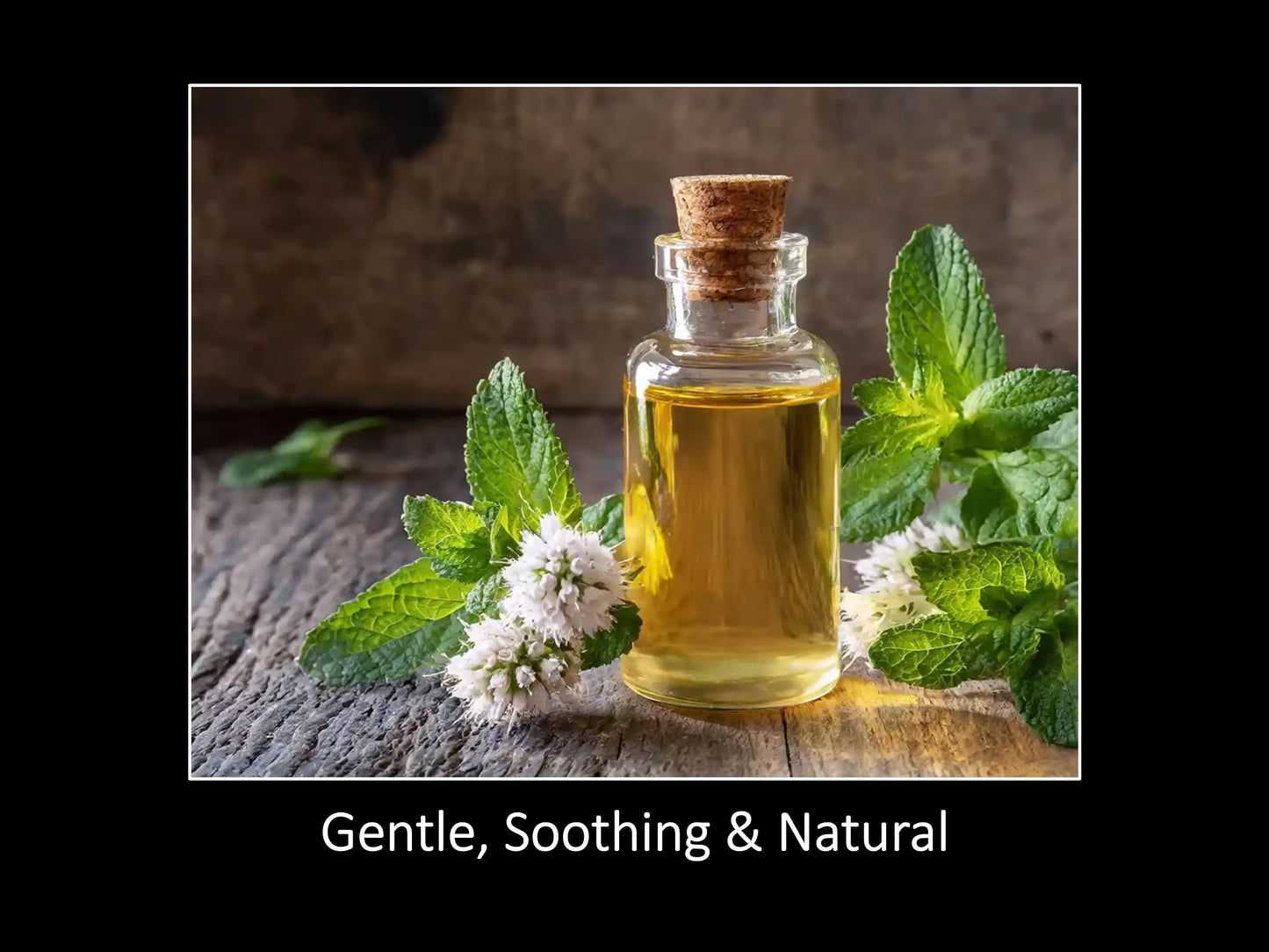 DAANA Peppermint Essential Oil - 100% Pure & Undiluted, 2 Fl Oz