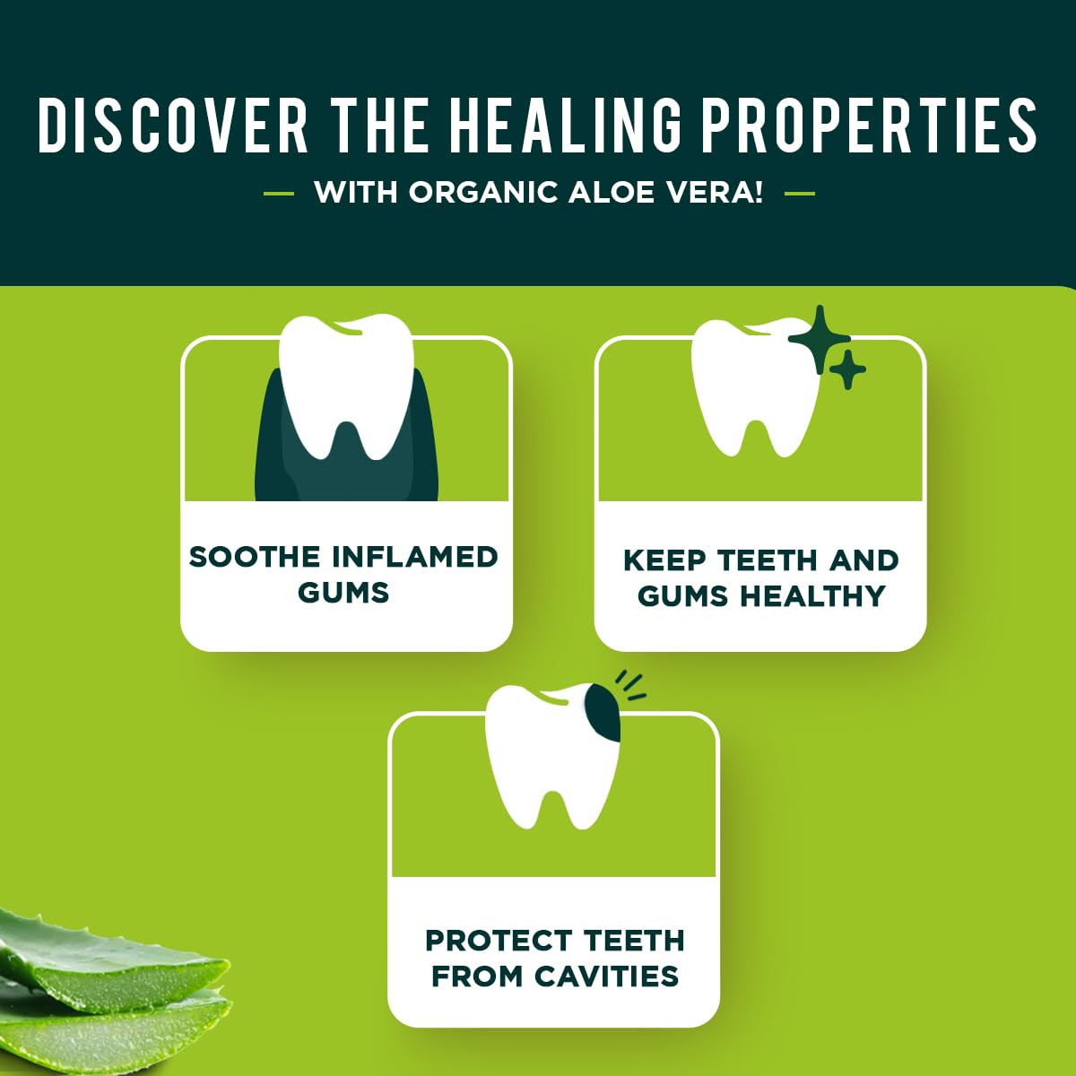 Dabur Herbal Toothpaste – Fluoride-Free, Aloe Vera, 100ml Pack of 3