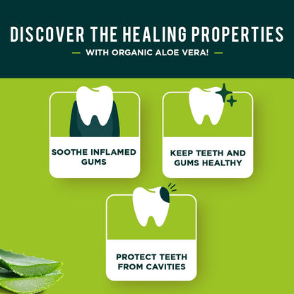 Dabur Herbal Toothpaste – Fluoride-Free, Aloe Vera, 100ml Pack of 3