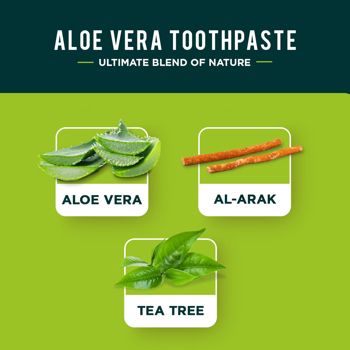 Dabur Herbal Toothpaste – Fluoride-Free, Aloe Vera, 100ml Pack of 3