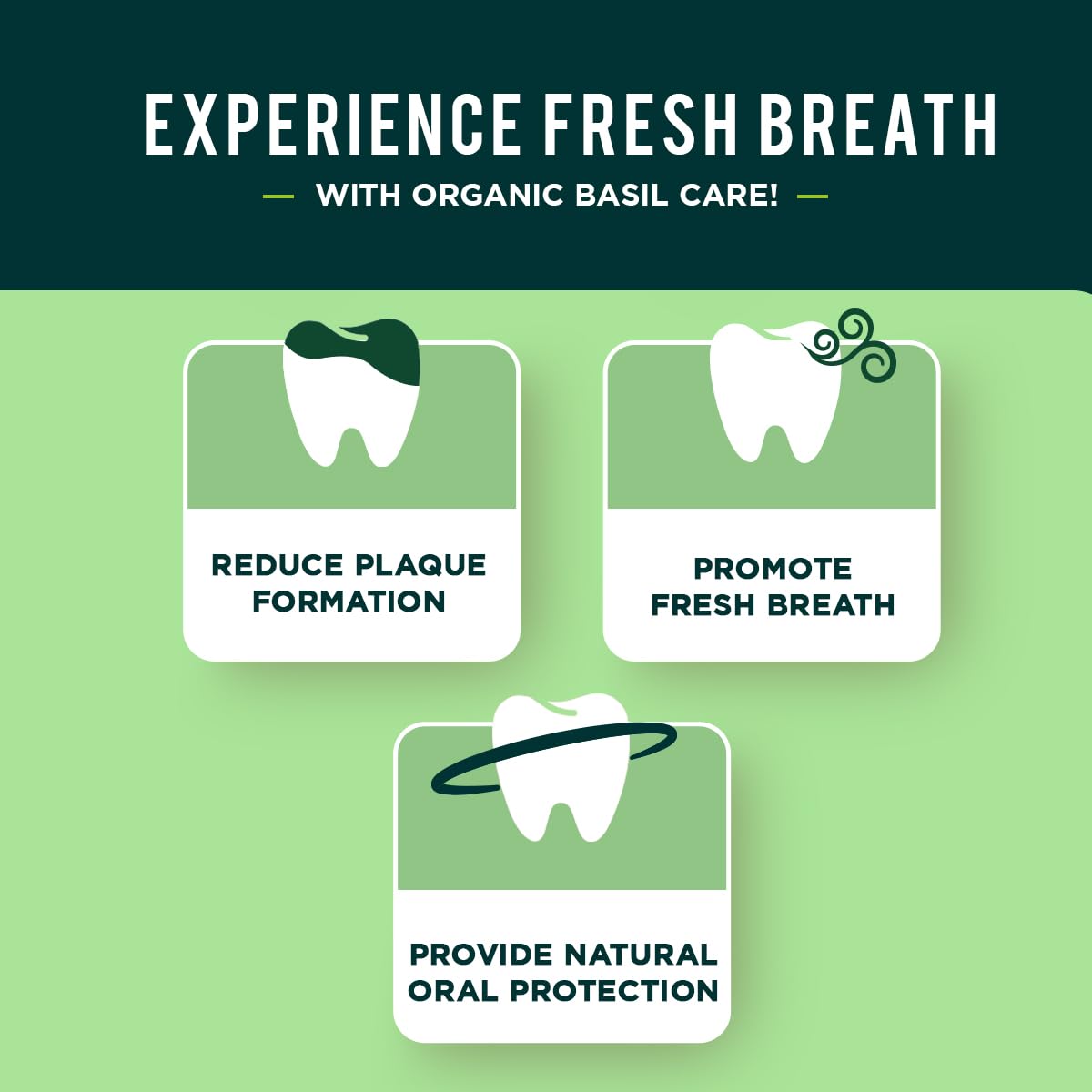 Dabur Herbal Toothpaste - Fluoride-Free Natural Oral Care with Basil 100ml (Pack of 3) | Fresh Breath