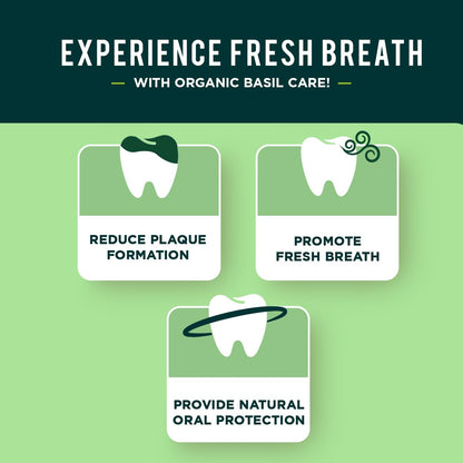 Dabur Herbal Toothpaste - Fluoride-Free Natural Oral Care with Basil 100ml (Pack of 3) | Fresh Breath