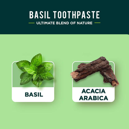 Dabur Herbal Toothpaste - Fluoride-Free Natural Oral Care with Basil 100ml (Pack of 3) | Fresh Breath