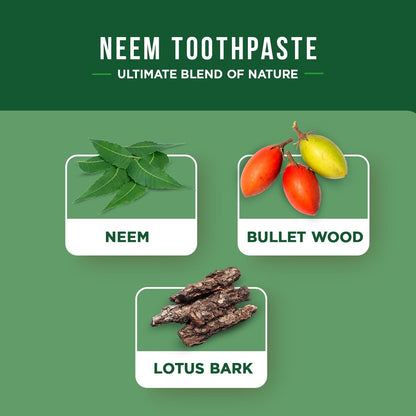 Dabur Herbal Toothpaste – All-Natural, Fluoride-Free Neem Oral Care