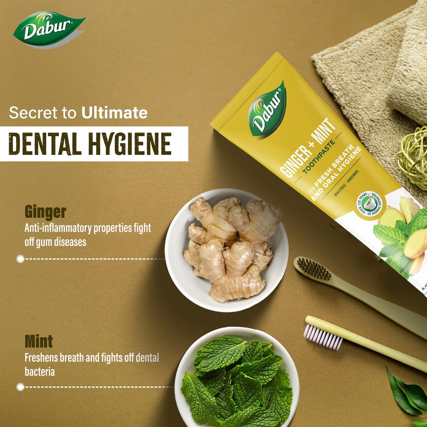 Dabur Organic Ginger & Mint Toothpaste 100 ml | Pack of 1