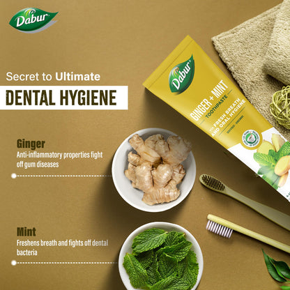 Dabur Organic Ginger & Mint Toothpaste 100 ml | Pack of 1