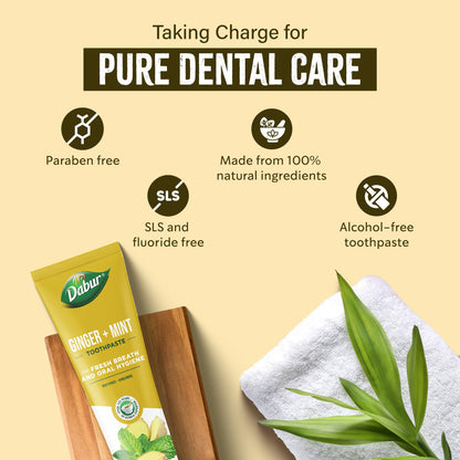 Dabur Organic Ginger & Mint Toothpaste 100 ml | Pack of 1