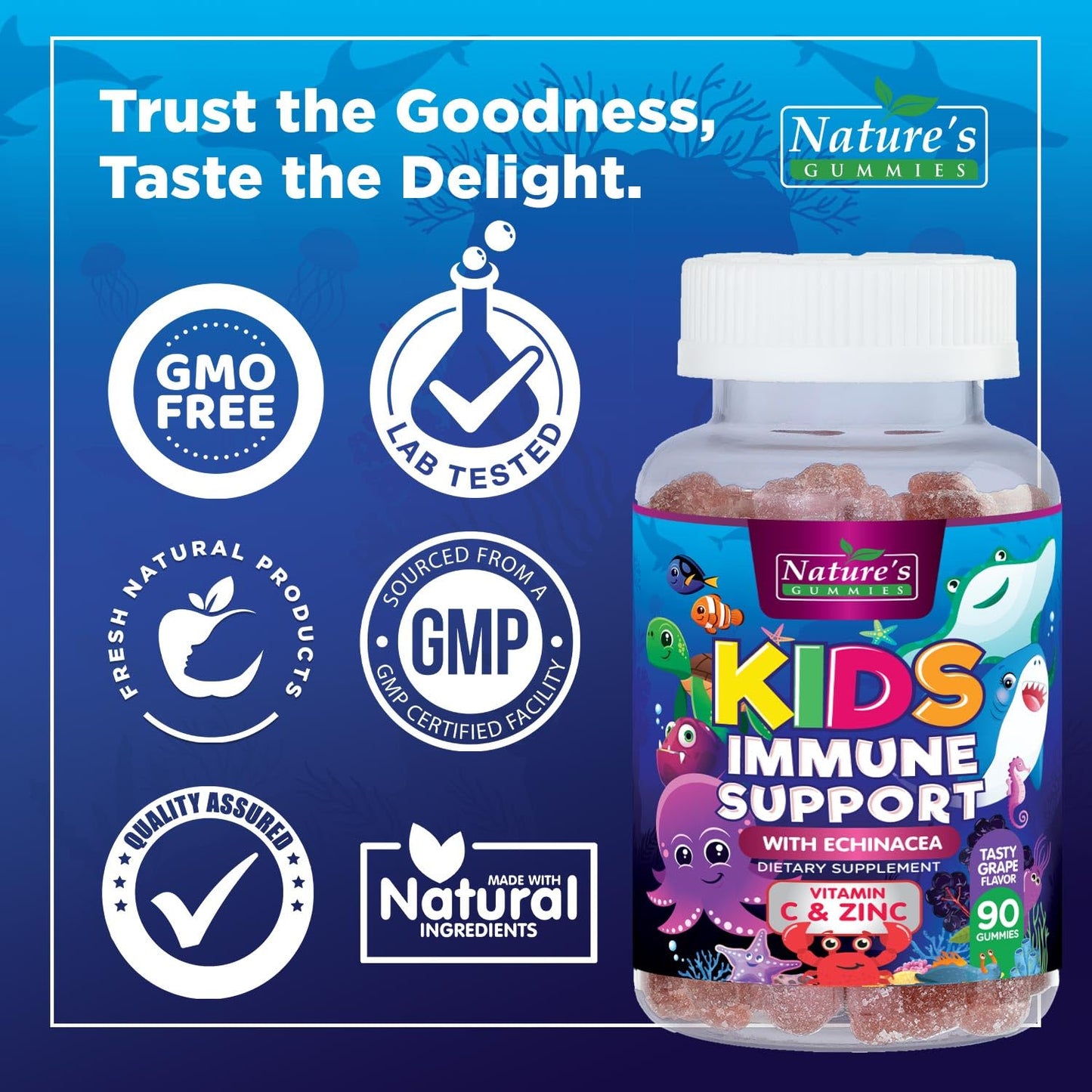 Kids Immune Support Gummies – Vitamins C, Zinc & Echinacea (90 Gummies) | Non-GMO, Gluten-Free & Vegan