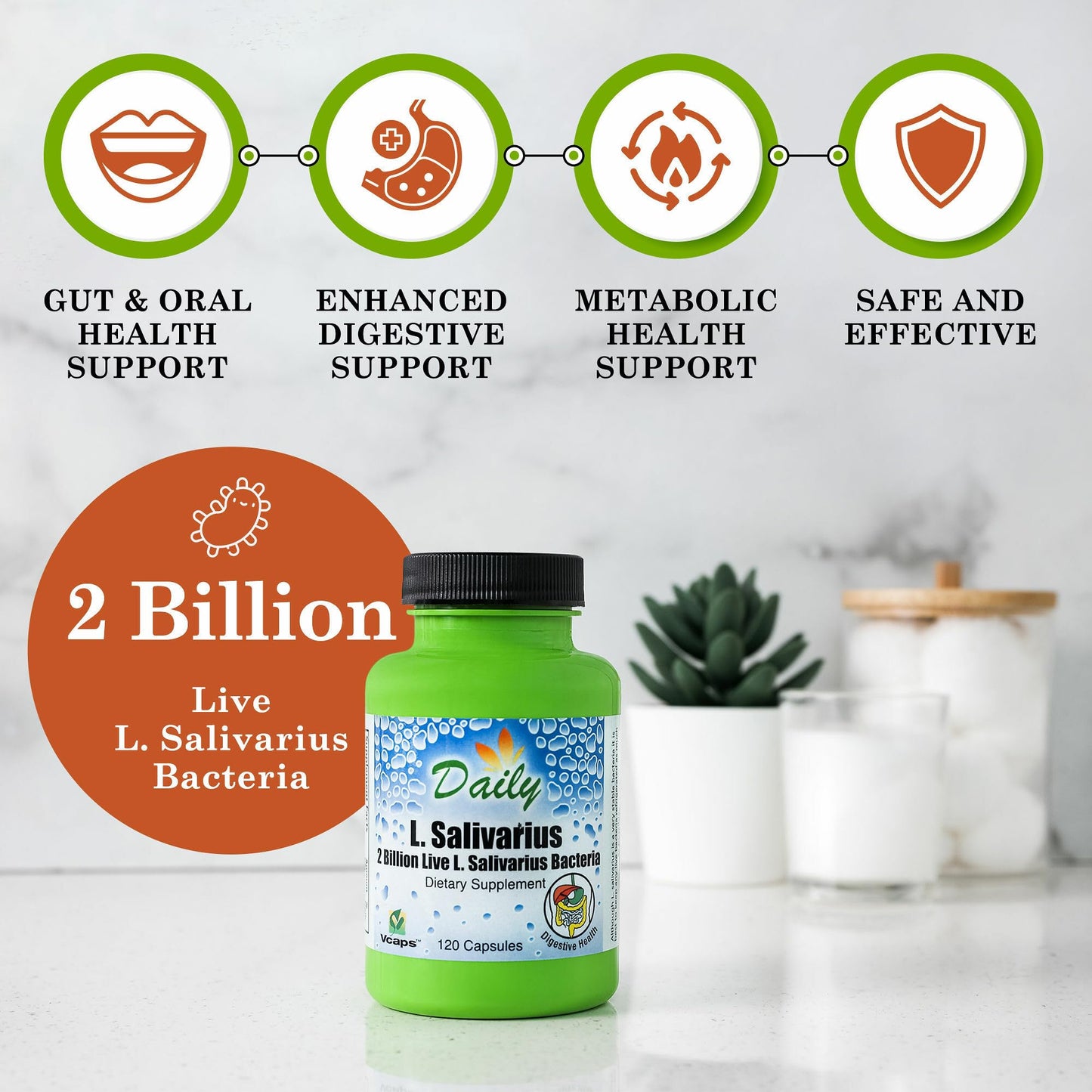 Daily Manufacturing L-Salivarius Probiotic — 2 Billion CFU, Delayed-Release, 120 Capsules