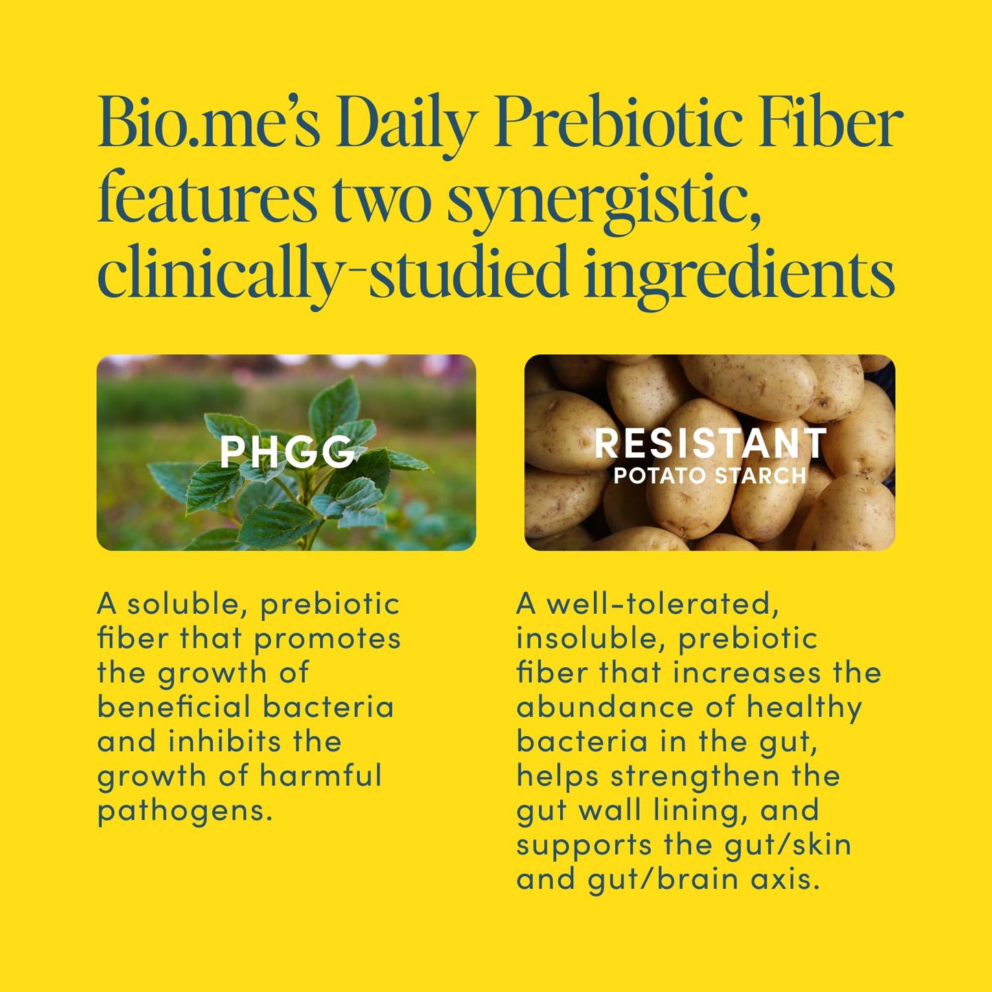 Daily Prebiotic Fiber Lemonade with Electrolytes - 7g Soluble Fiber per Serving - Sugar Free - 30 Servings