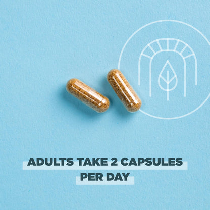 Ancient Nutrition ROC SuperFruits Capsules – Gut & Immune Health, 60 Count