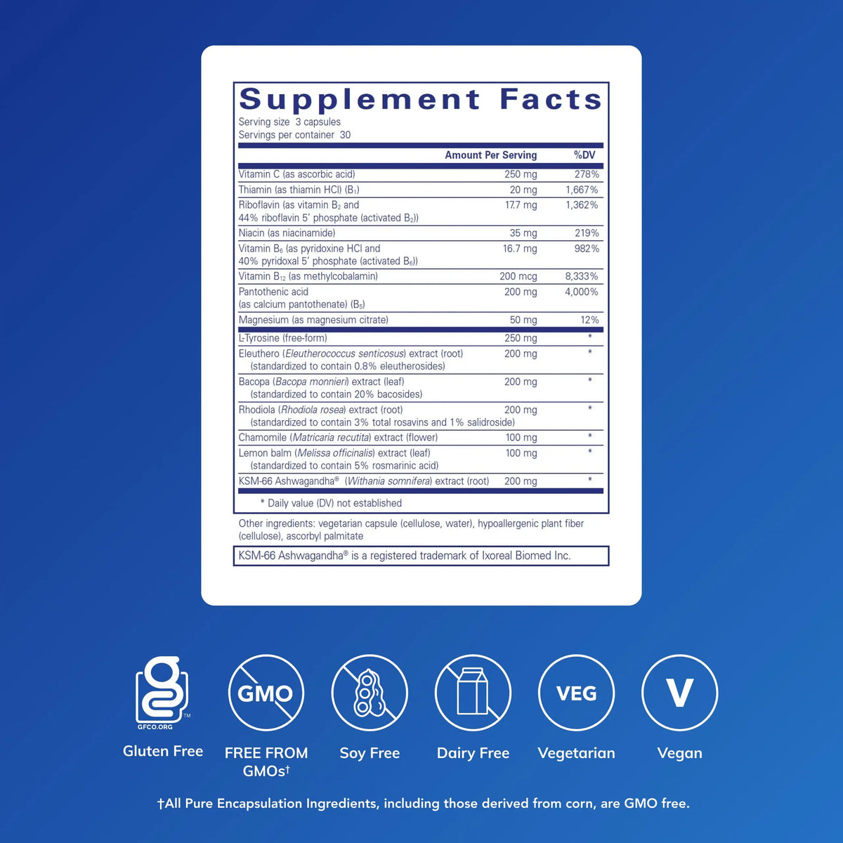 Pure Encapsulations Daily Stress Formula | Promotes Relaxation & Supports Occasional Stress | 90 Capsules BritishVita | Premium UK Vitamins & Wellness Supplements