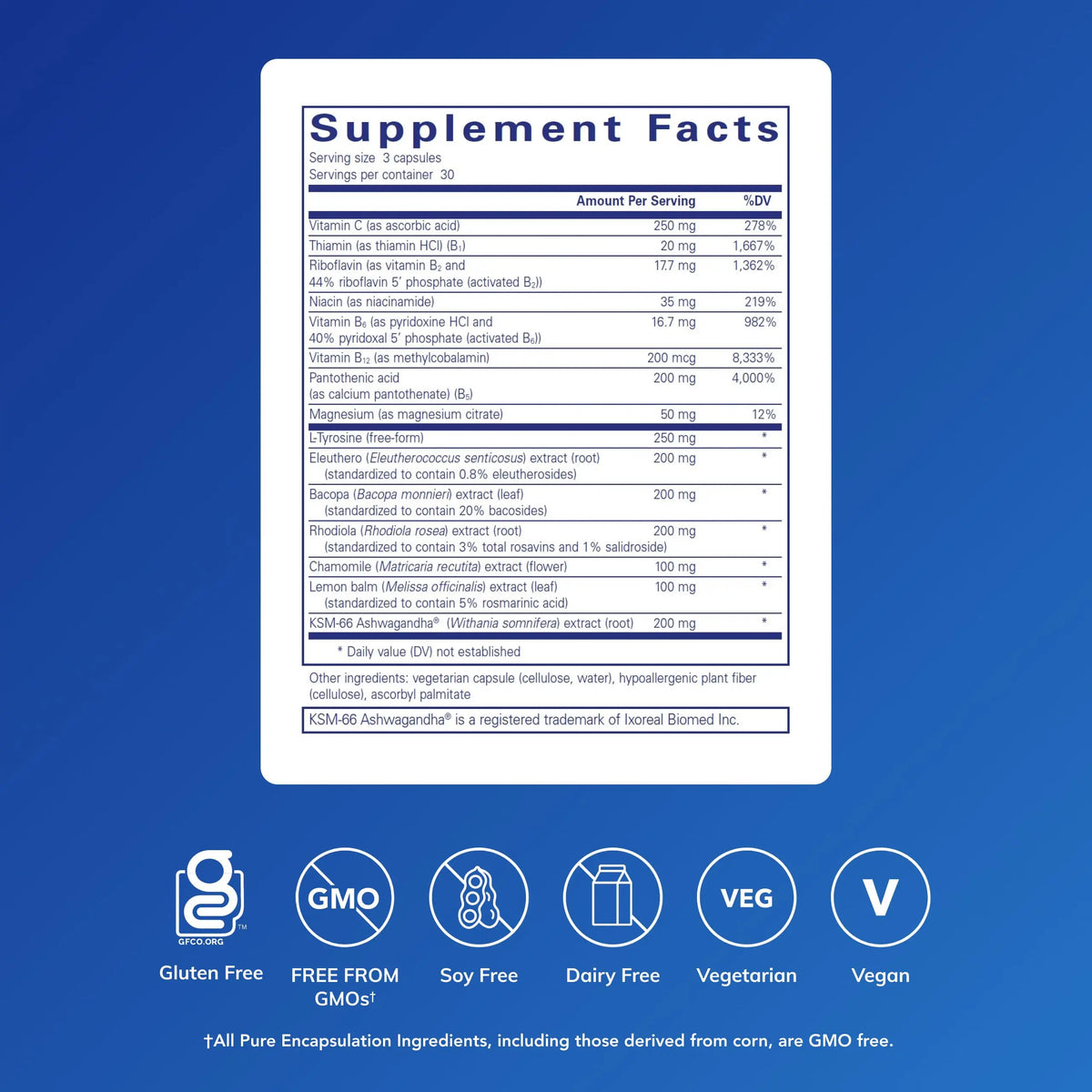 Pure Encapsulations Daily Stress Formula | Promotes Relaxation & Supports Occasional Stress | 90 Capsules BritishVita | Premium UK Vitamins & Wellness Supplements