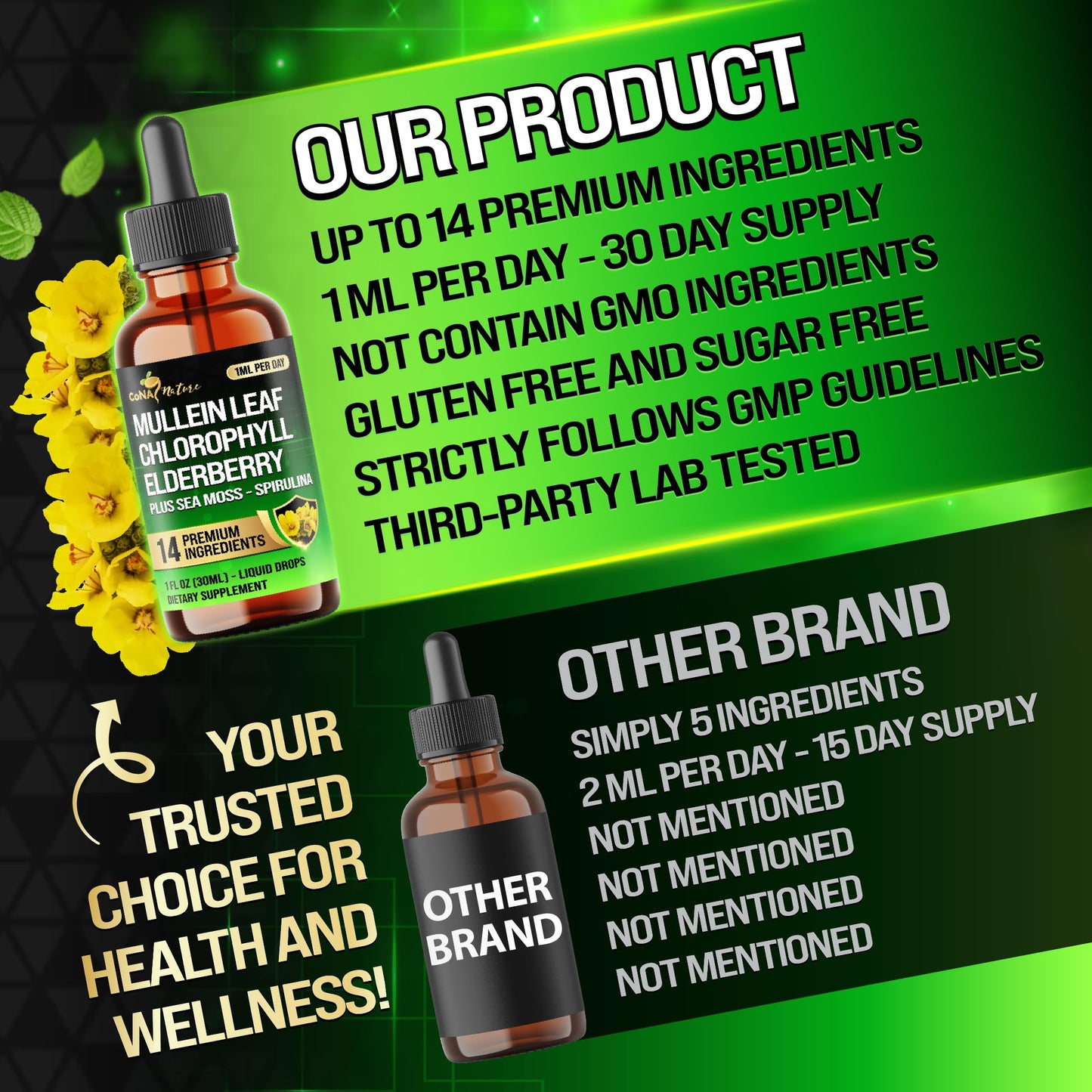 14in1 Mullein Liquid Drops – Immune & Respiratory Support, 30-Day, 1 fl oz
