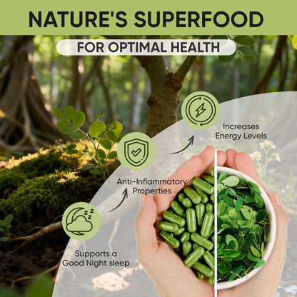 Golden Chapter Moringa Capsules – Iron, Magnesium, B12 & Vitamin C | Joint Support & Energy, 60 Count