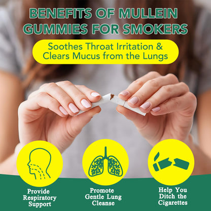 2 Pack Mullein Gummies for Lung Detox, Lung Cleanse & Mucus Relief