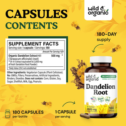 Wild & Organic Dandelion Root Capsules – 2000 mg per Capsule, Liver Support