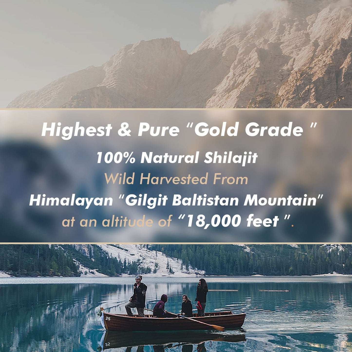 Shilajit Purest Himalayan Organic Resin – Gold Grade 100% Pure, Fulvic Acid & 85+ Minerals, 30g