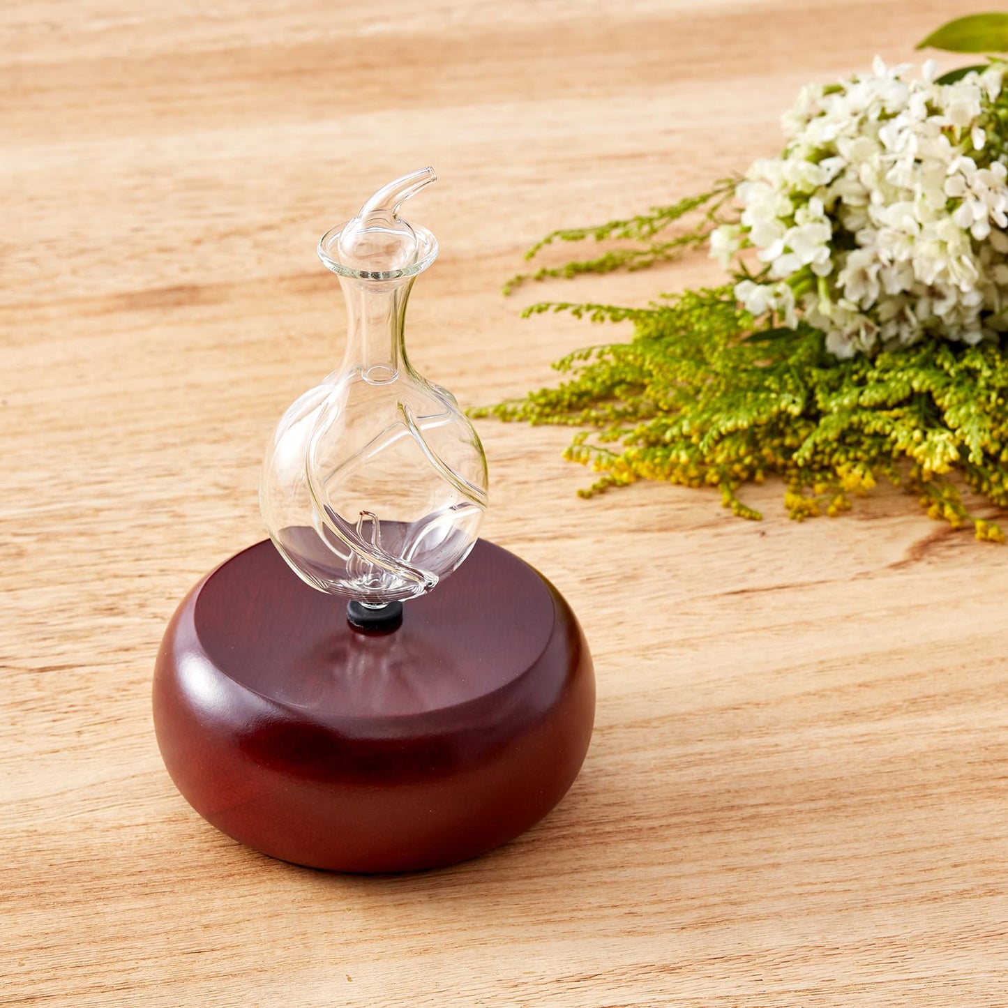 Nebulizing Pure Essential Oil Diffuser – Dark Radiance by Organic Aromas