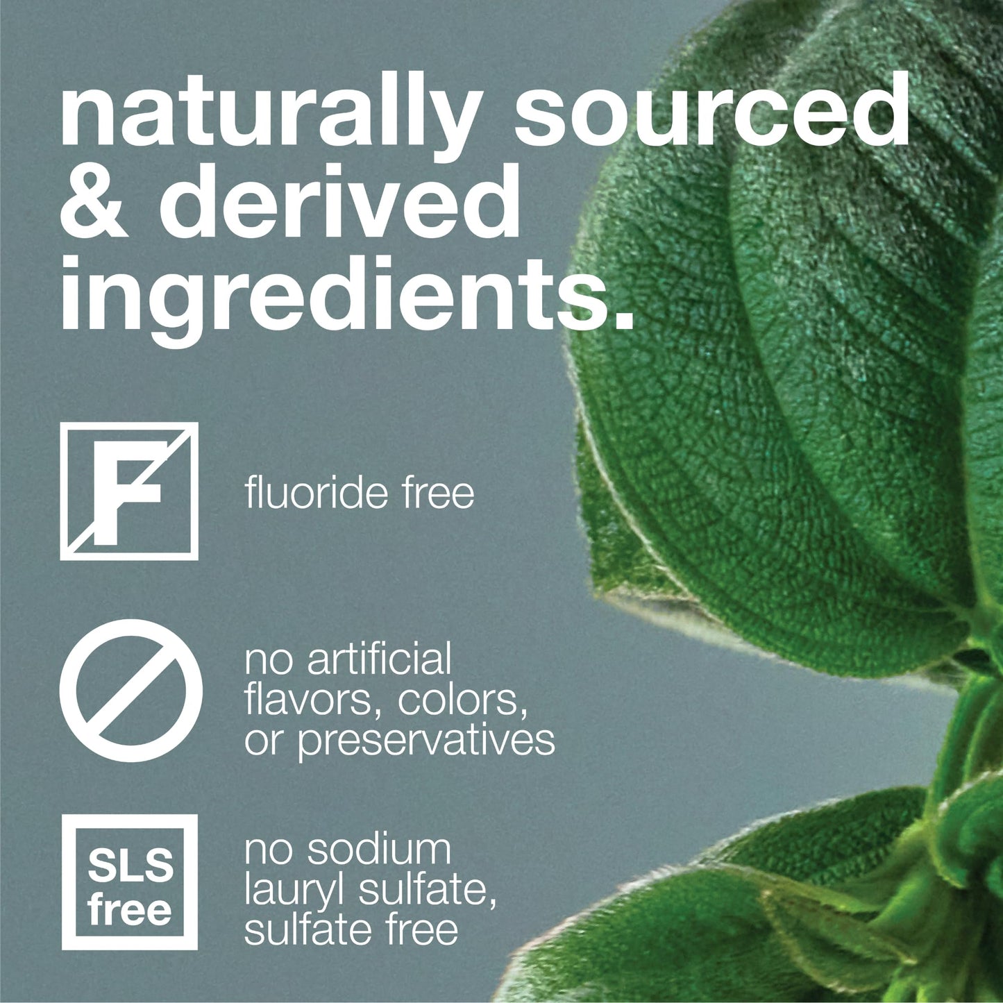 Davids Fluoride Free Toothpaste – Peppermint, 5.25oz | Teeth Whitening, Antiplaque, SLS-Free, Enamel Health | EWG Verified