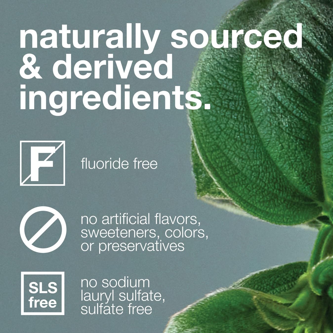 Davids Fluoride Free Toothpaste – Enamel Health, Whitening, SLS-Free, EWG Verified, 5.25oz