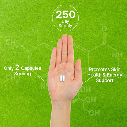 DEAL SUPPLEMENT Vitamin B3 Nicotinamide 1,000mg – 500 Capsules, Flush Free, Non-GMO BritishVita | Premium UK Vitamins & Wellness Supplements