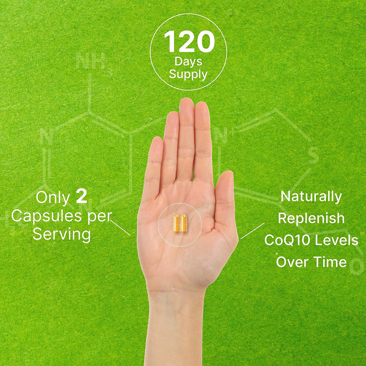 DEAL SUPPLEMENT CoQ10 200mg with PQQ 200mcg, 240 Veggie Capsules | Bioavailable Coenzyme Q10 Complex | Supports Heart, Energy & Brain Health | Antioxidant Support | Non-GMO