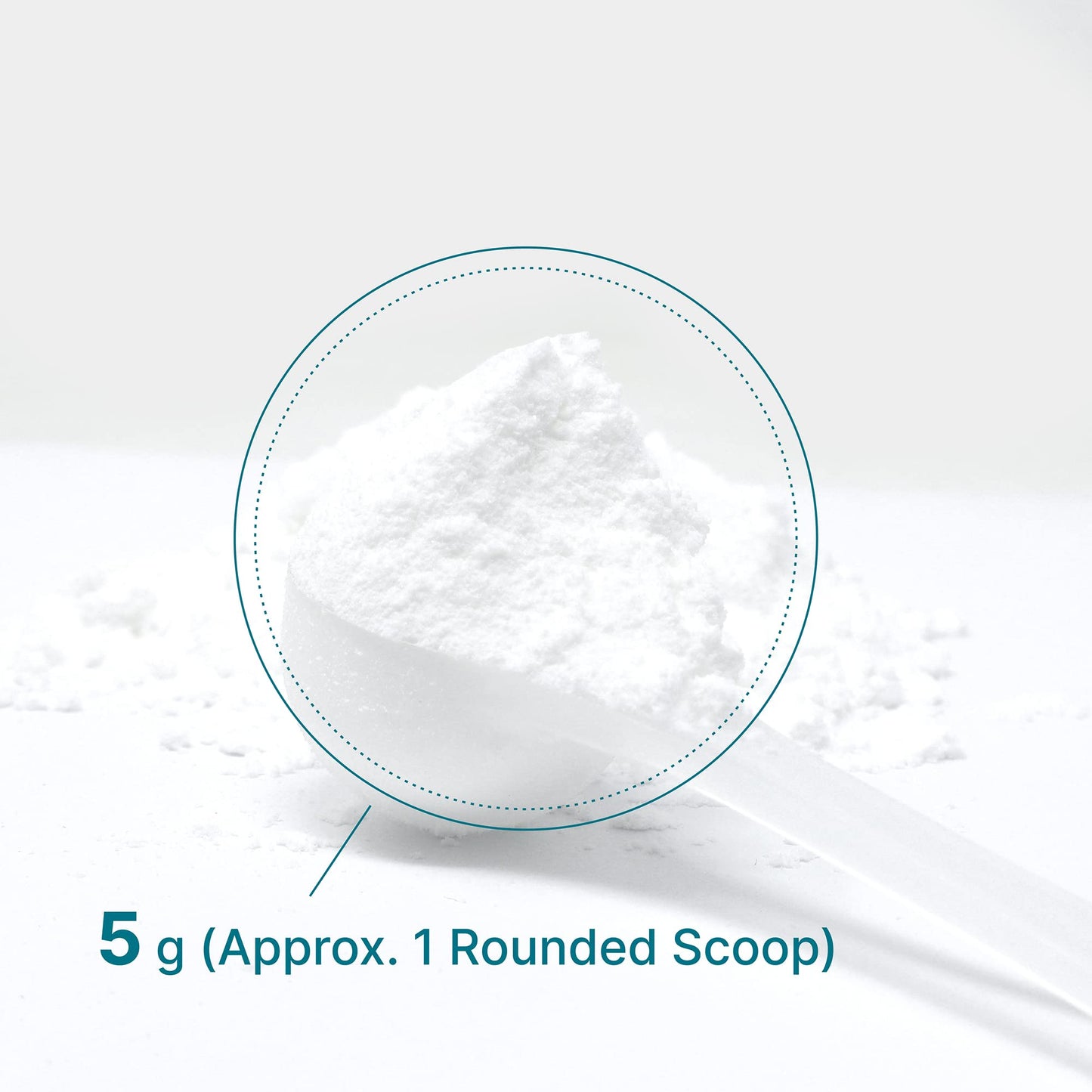 Deal Supplement Creatine Monohydrate Powder – 60 Servings, Unflavored, Micronized