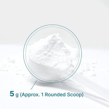 Deal Supplement Creatine Monohydrate Powder – 60 Servings, Unflavored, Micronized