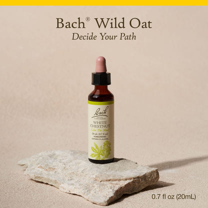 Bach Original Flower Remedies: Wild Oat - Decide Your Path | 20mL Dropper
