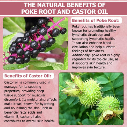 Poke Root & Castor Oil – 1 fl oz | Natural Lymphatic Support Massage Oil for Cysts, Fibroids, Breast Swelling & Joints
