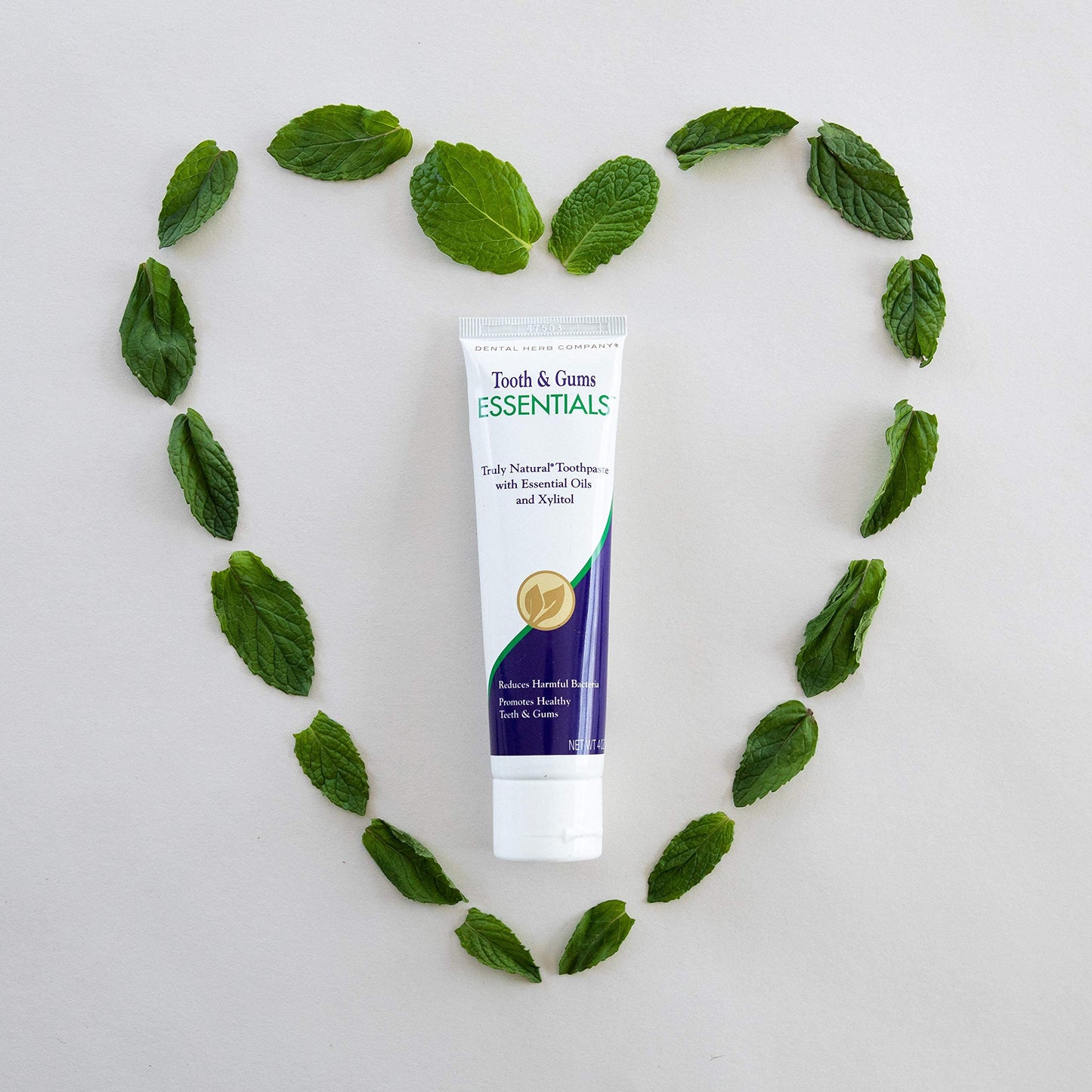 Dental Herb Company Essentials Toothpaste Fluoride-Free 4 oz (3 Pack)