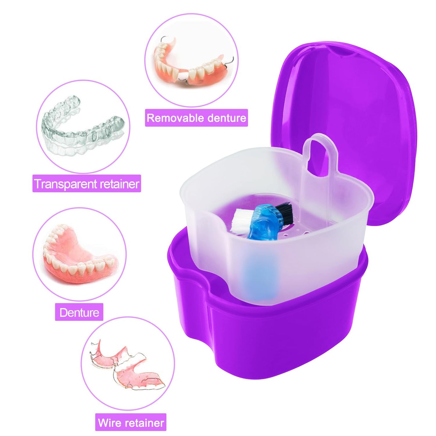 2 Pack Denture Bath Case – Purple & Dark Blue Travel Holder with Brush