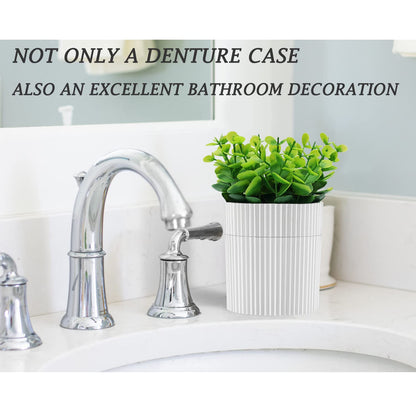 Denture Bath – Invisible Denture Case Hidden as Artificial Eucalyptus Plant | Retainer & Denture Cup