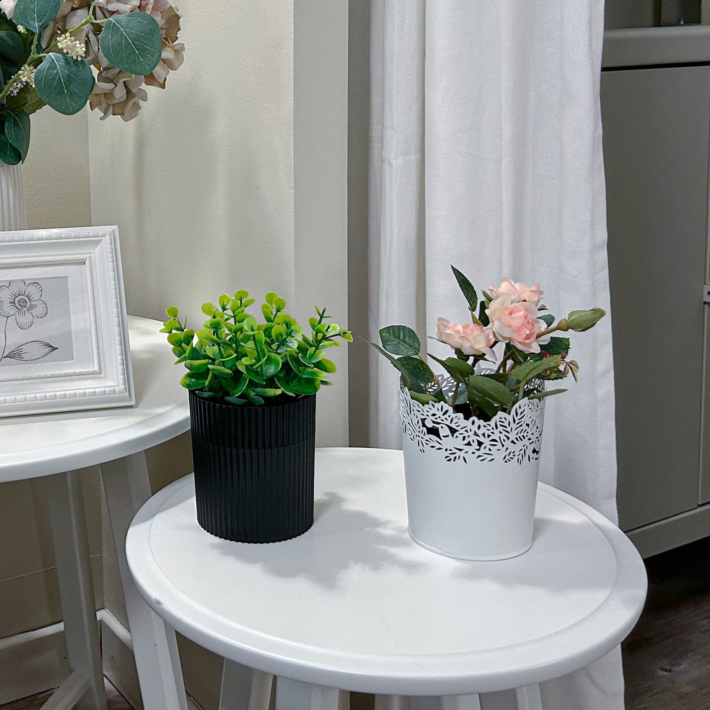 Denture Bath – Invisible Denture Case Hidden as Artificial Eucalyptus Plant | Retainer & Denture Cup