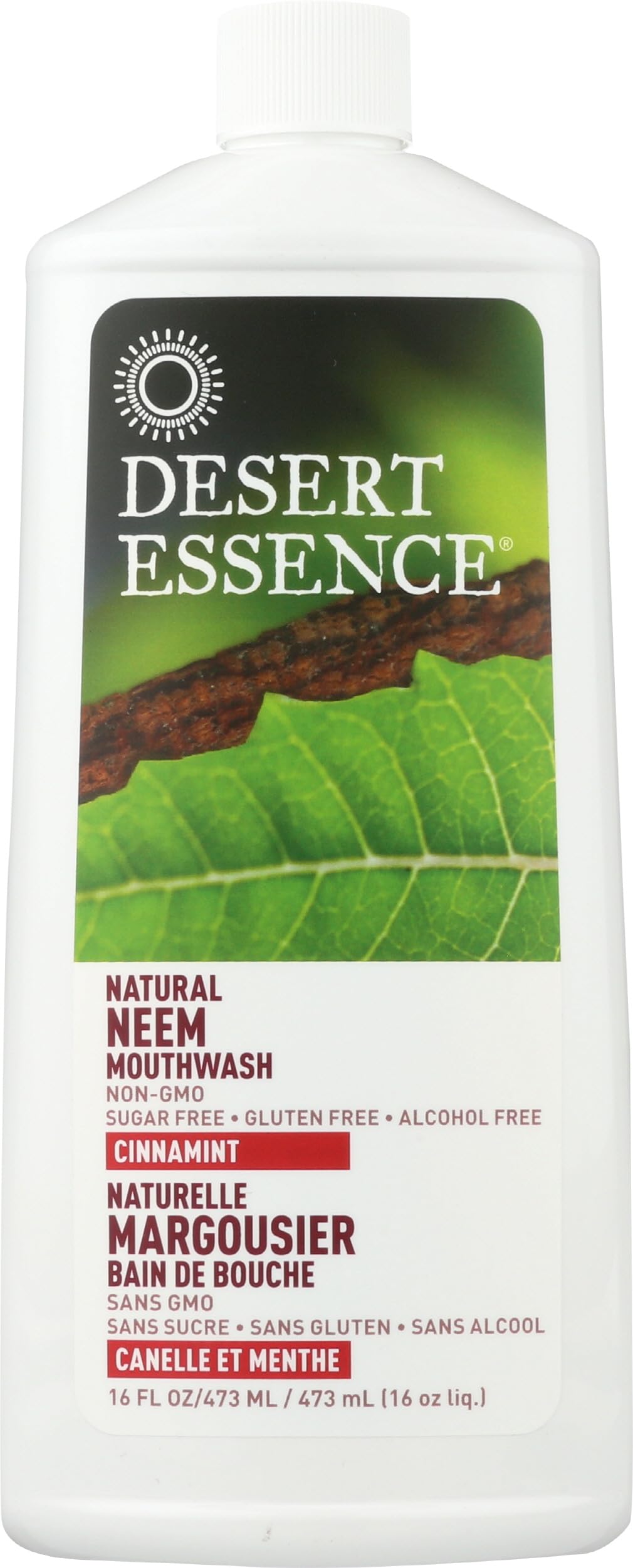 Desert Essence Alcohol-Free Mouthwash with Tea Tree Oil & Aloe – Sugar-Free, Cinnamint, 16oz | Vegan, Non-GMO
