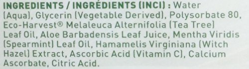 Desert Essence Tea Tree Oil Mouthwash – Spearmint 16 oz (2 Pack)
