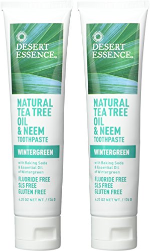 Desert Essence Tea Tree Oil Wintergreen Toothpaste, 6.25 oz, 2 per Case